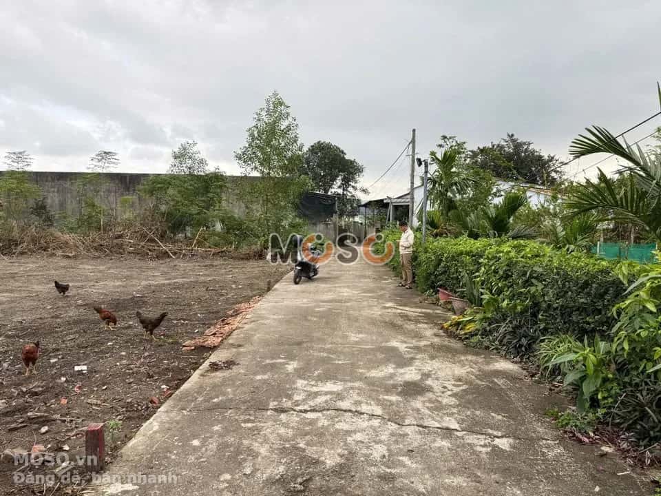 Bán đất Thôn Khương Mỹ Huyện Hòa Vang, TP. Đà Nẵng – giá 1.2 tỷ - ảnh 3