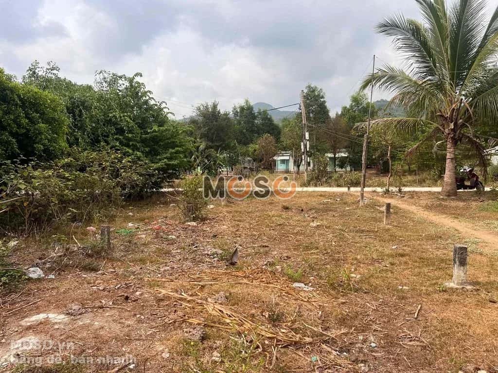 Bán đất Thôn Sông Búng Thị xã Ninh Hòa, Khánh Hòa – giá 260 triệu - ảnh 2