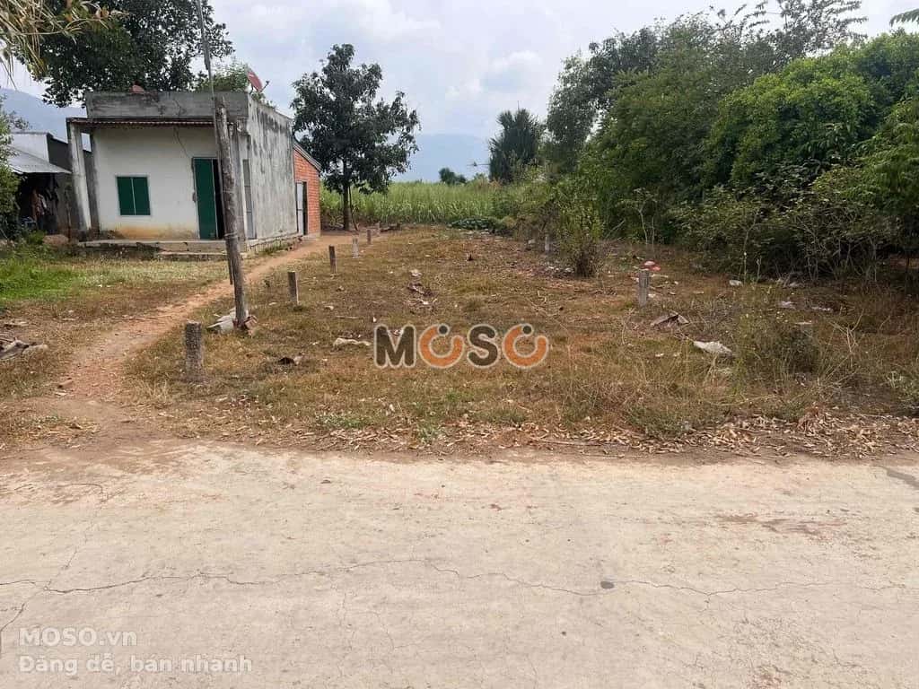 Bán đất Thôn Sông Búng Thị xã Ninh Hòa, Khánh Hòa – giá 260 triệu - ảnh 1
