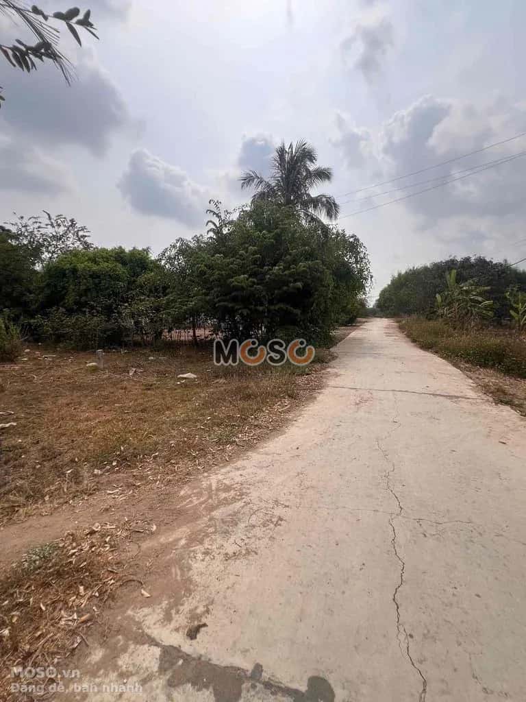Bán đất Thôn Sông Búng Thị xã Ninh Hòa, Khánh Hòa – giá 260 triệu - ảnh 4