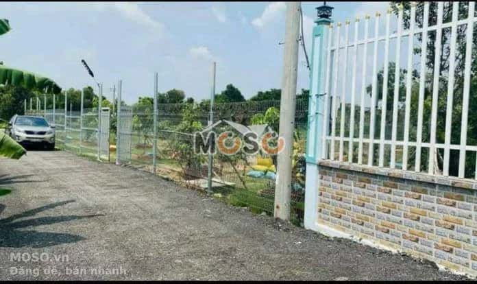 Cho thuê đất Quận 8, TP.HCM – giá 93 triệu - ảnh 2