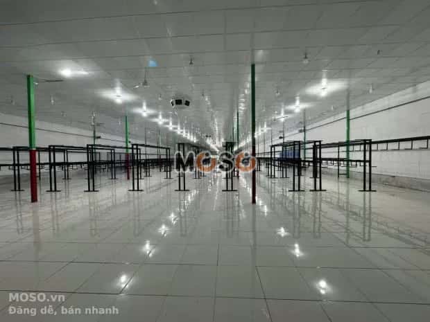 Cho thuê kho, nhà xưởng Quốc lộ 60 Châu Thành, Bến Tre – giá 60 triệu - ảnh 2