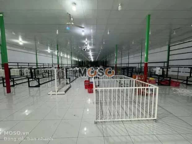 Cho thuê kho, nhà xưởng Quốc lộ 60 Châu Thành, Bến Tre – giá 60 triệu - ảnh 3