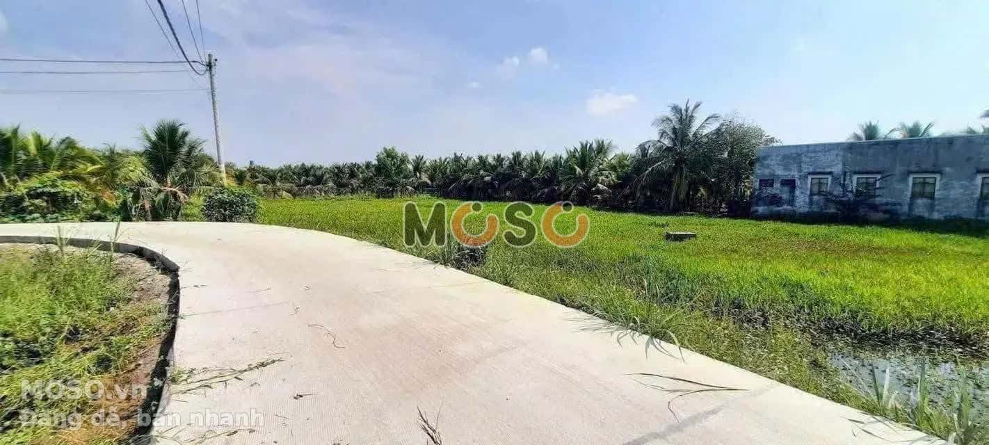 Bán đất Ấp Bình An B Thành phố Tân An, Long An – giá 3 tỷ - ảnh 2