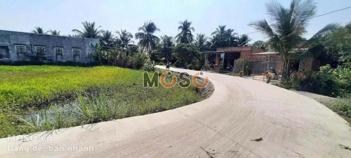 Bán đất Ấp Bình An B Thành phố Tân An, Long An – giá 3 tỷ - ảnh 3