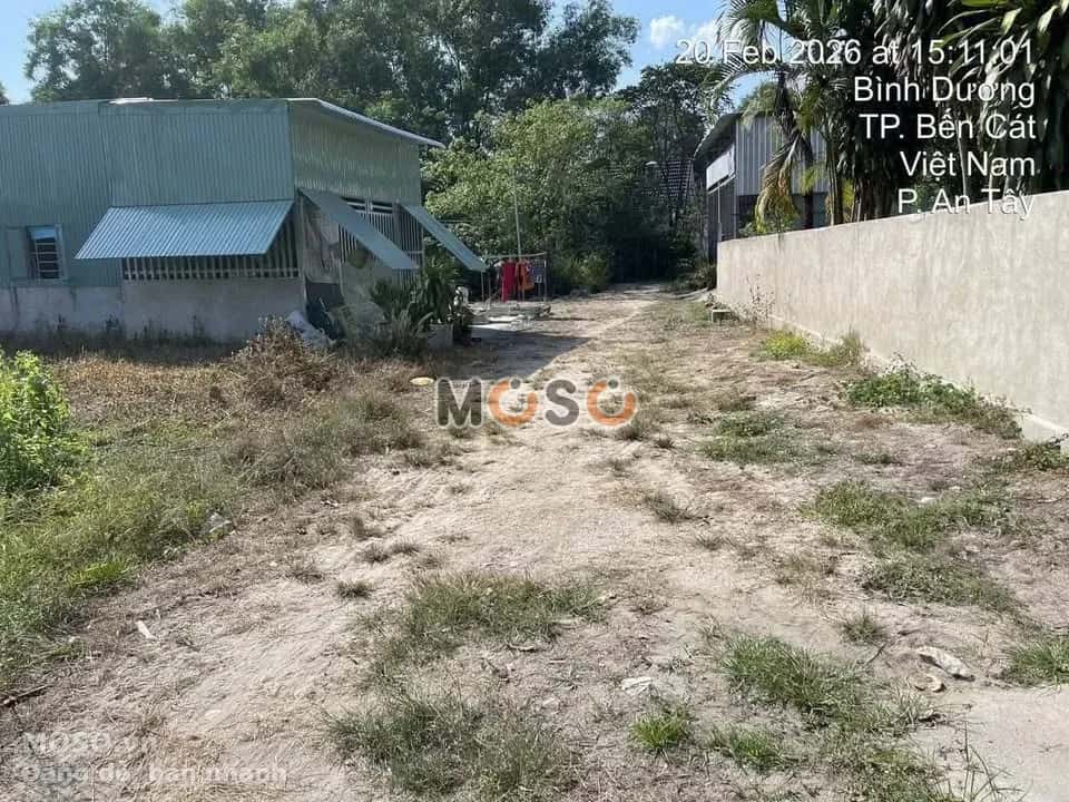 Bán đất đường DT744 Thành phố Bến Cát, Bình Dương – giá 780 triệu - ảnh 2