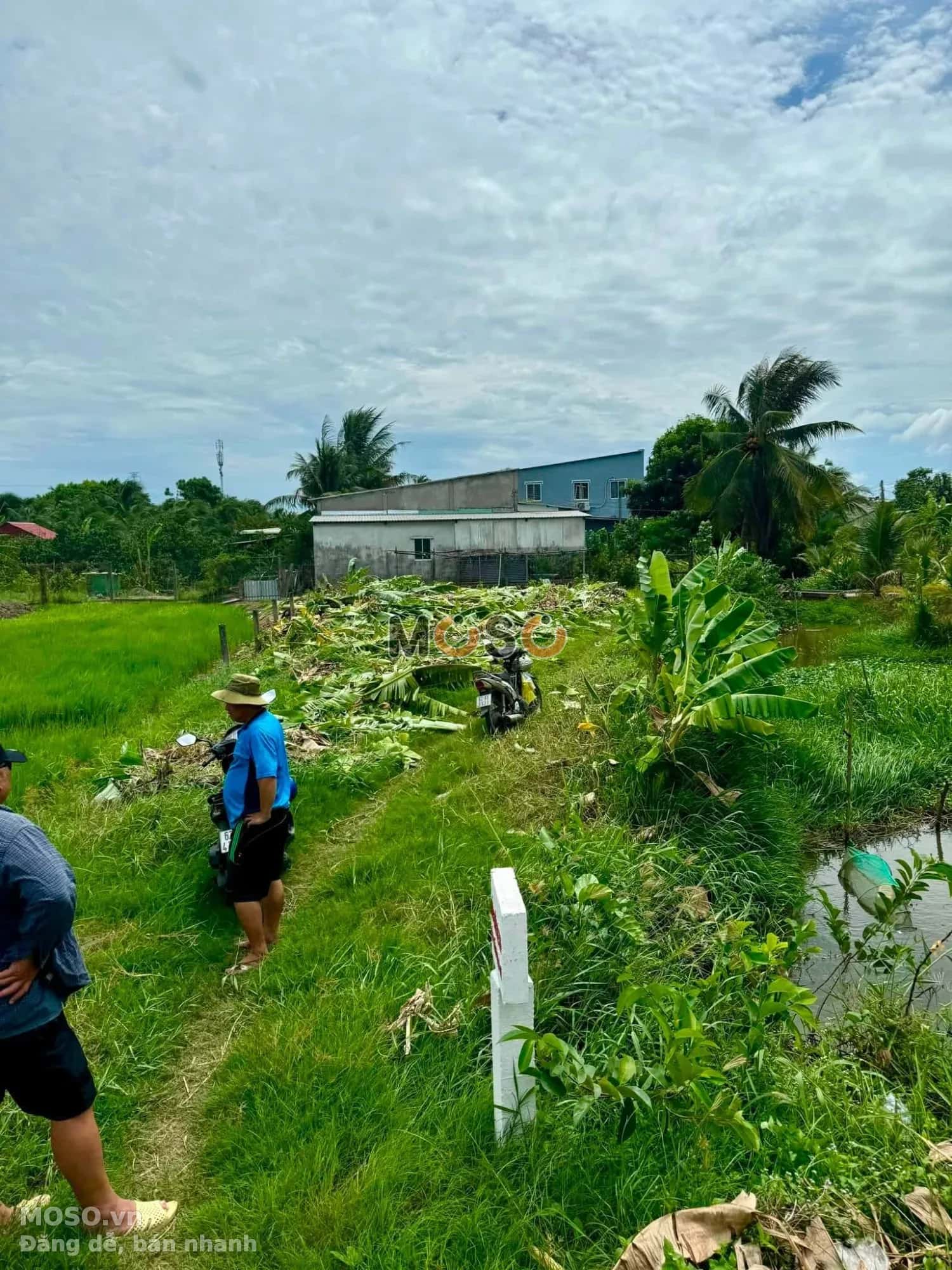 Bán đất Phạm Văn Thành Thành phố Tân An, Long An – giá 850 triệu - ảnh 1