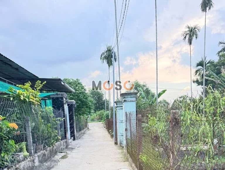 Bán đất khu phố Bình Hòa Thành phố Thuận An, Bình Dương – giá 2 tỷ - ảnh 3