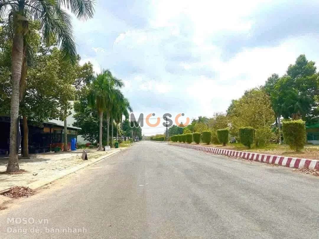 Bán đất Đường số 8 Thành phố Tân An, Long An – giá 7.5 tỷ - ảnh 2