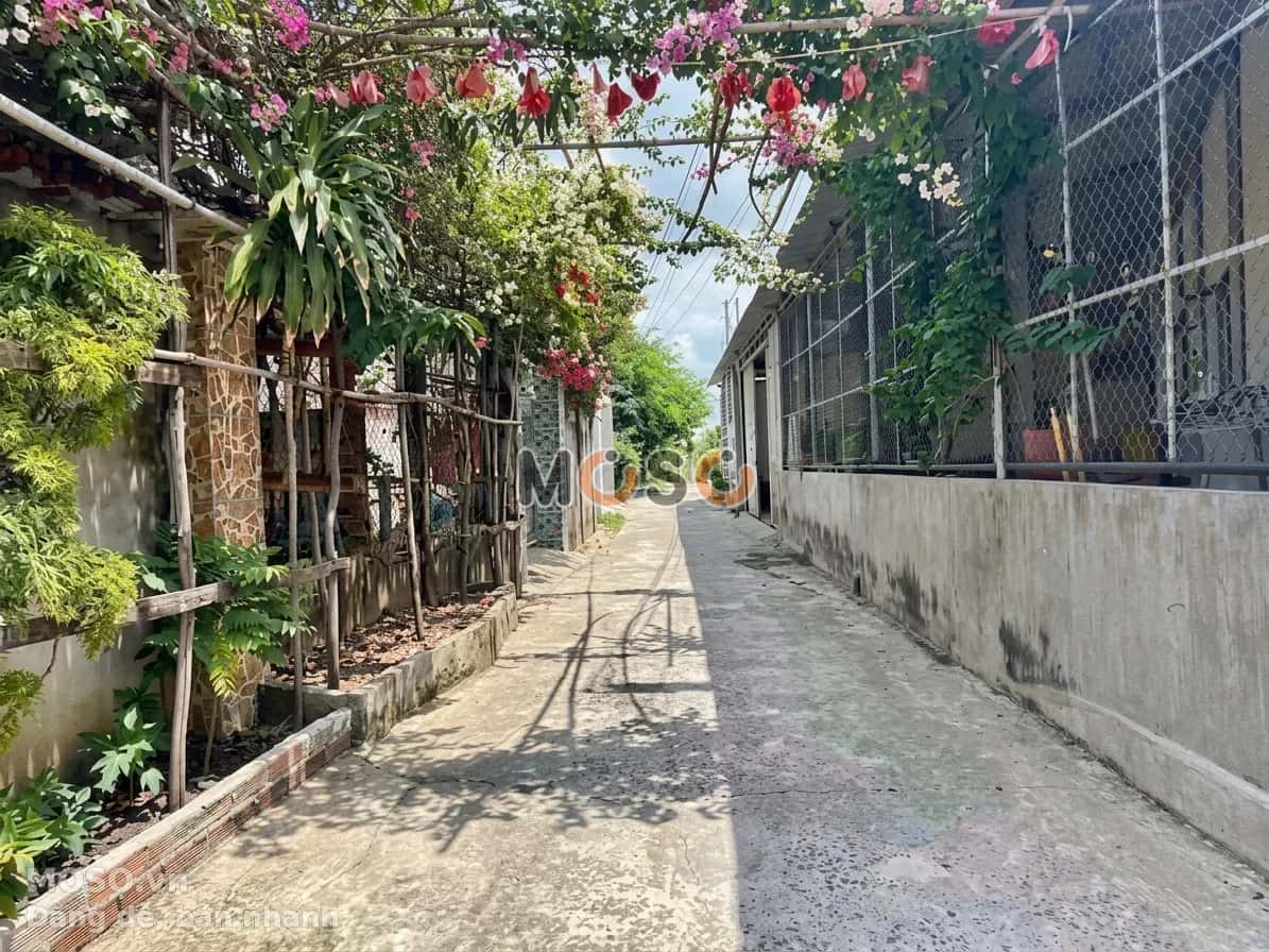 Bán đất Châu Thị Kim Thành phố Tân An, Long An – giá 890 triệu - ảnh 3