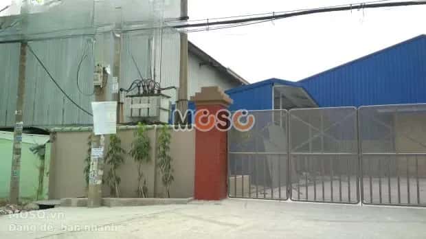 Cho thuê kho, nhà xưởng Đường An Phú Đông 1 Quận 12, TP.HCM – giá 100 triệu - ảnh 5