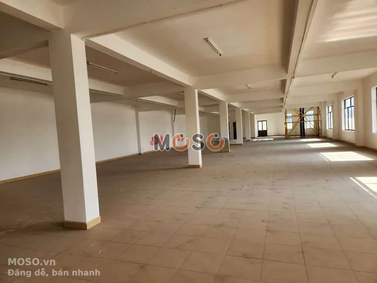 Cho thuê văn phòng Đường A Quận 2, TP.HCM – giá 186 triệu - ảnh 3