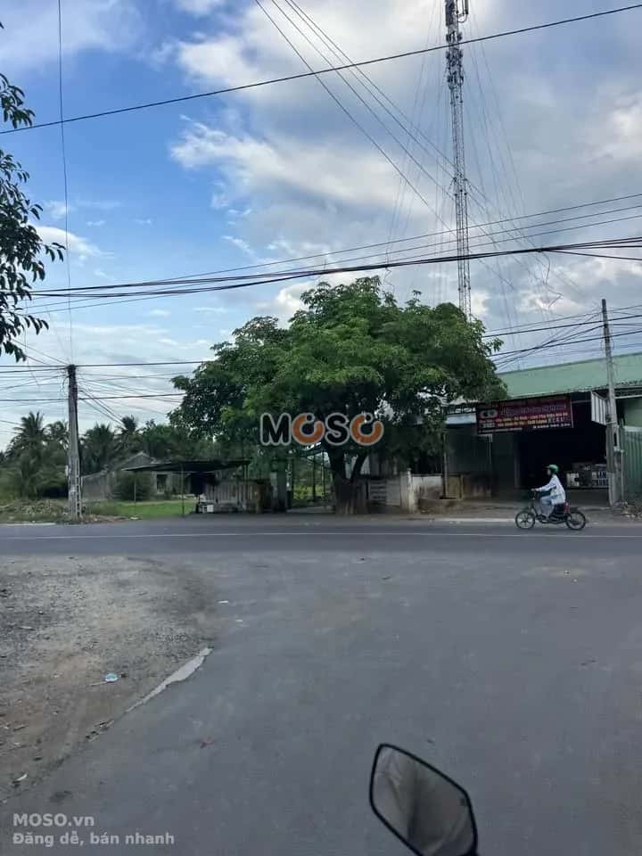 Bán đất thôn Nghi Phụng Thị xã Ninh Hòa, Khánh Hòa – giá 1.1 tỷ - ảnh 4