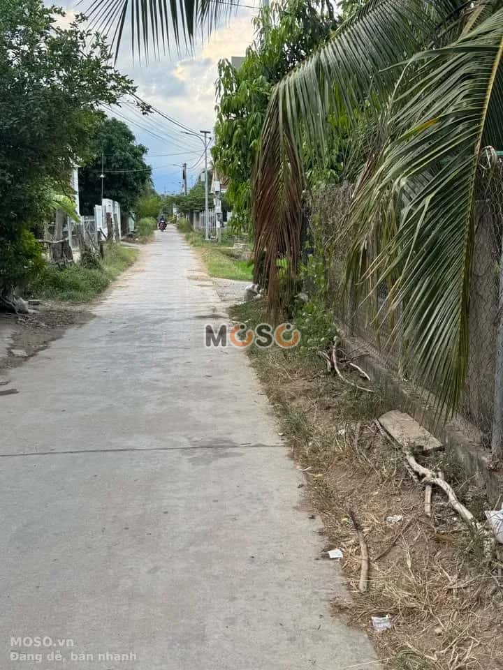 Bán đất thôn Nghi Phụng Thị xã Ninh Hòa, Khánh Hòa – giá 1.1 tỷ - ảnh 2