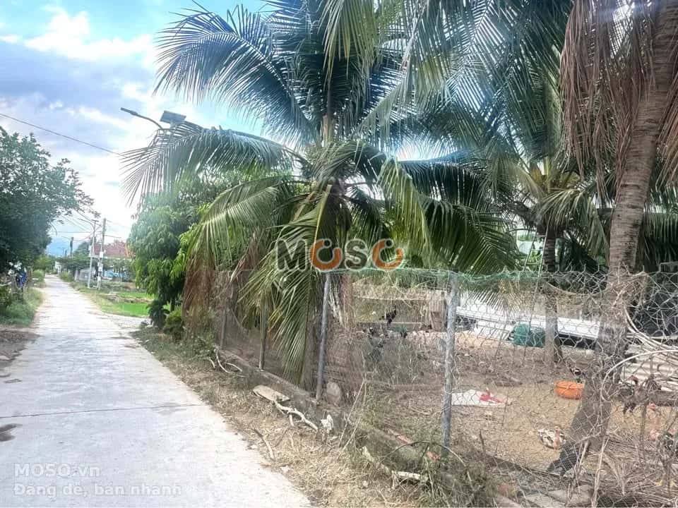 Bán đất thôn Nghi Phụng Thị xã Ninh Hòa, Khánh Hòa – giá 1.1 tỷ - ảnh 1