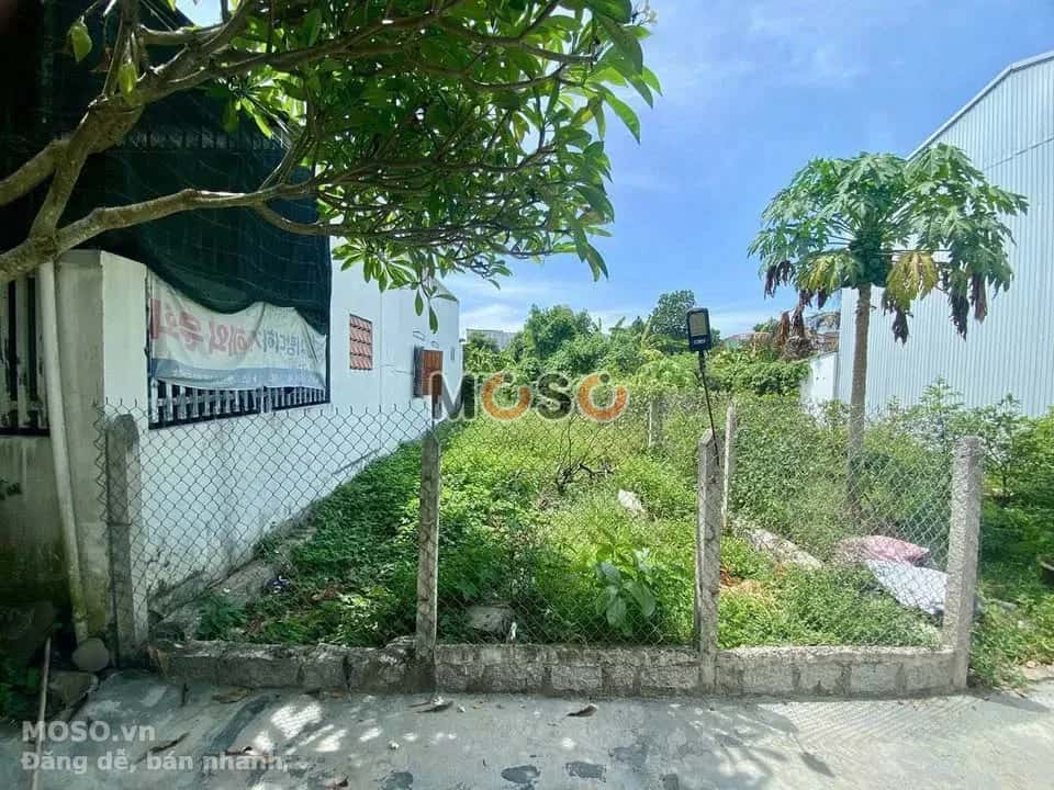 Bán đất thôn Phú Vinh Thành phố Nha Trang, Khánh Hòa – giá 1.6 tỷ - ảnh 1