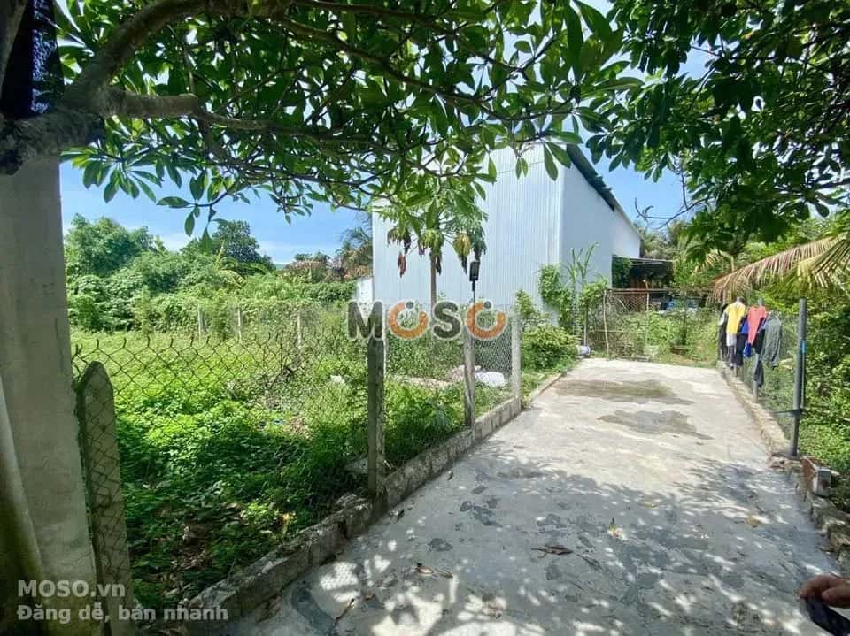 Bán đất thôn Phú Vinh Thành phố Nha Trang, Khánh Hòa – giá 1.6 tỷ - ảnh 2
