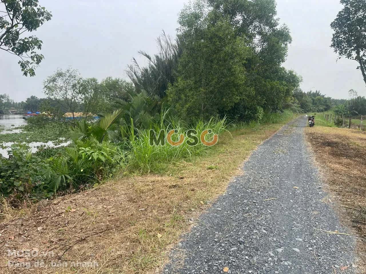 Bán đất Ấp Ái Ngãi  Huyện Châu Thành, Long An – giá 660 triệu - ảnh 2