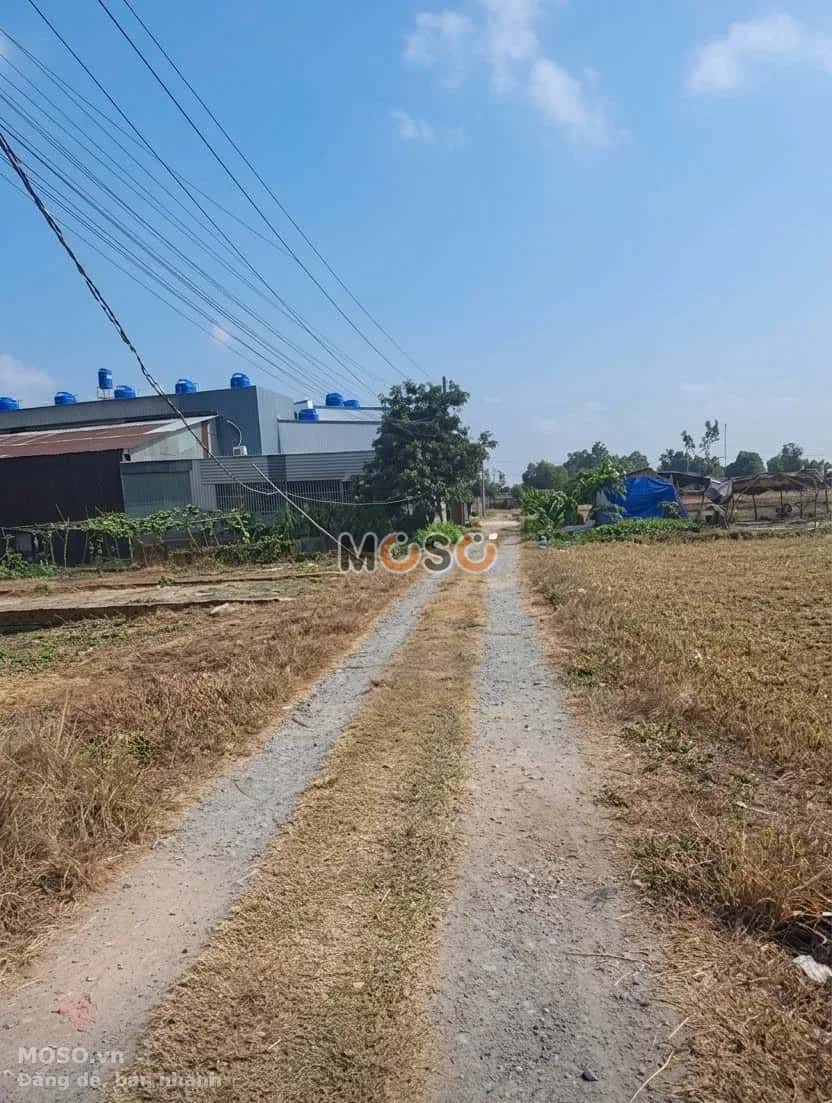 Bán đất Ấp Giồng Lớn Huyện Đức Hòa, Long An – giá 990 triệu - ảnh 3