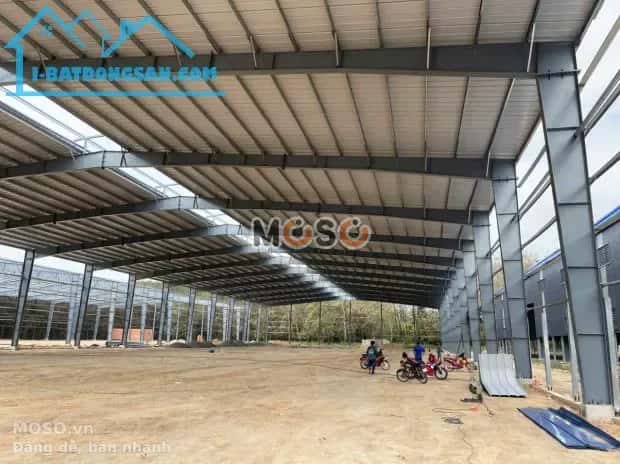 Cho thuê kho, nhà xưởng D1 Thị xã Tân Uyên, Bình Dương – giá 335 triệu - ảnh 2