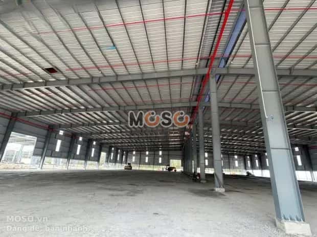Cho thuê kho, nhà xưởng D1 Thị xã Tân Uyên, Bình Dương – giá 335 triệu - ảnh 3