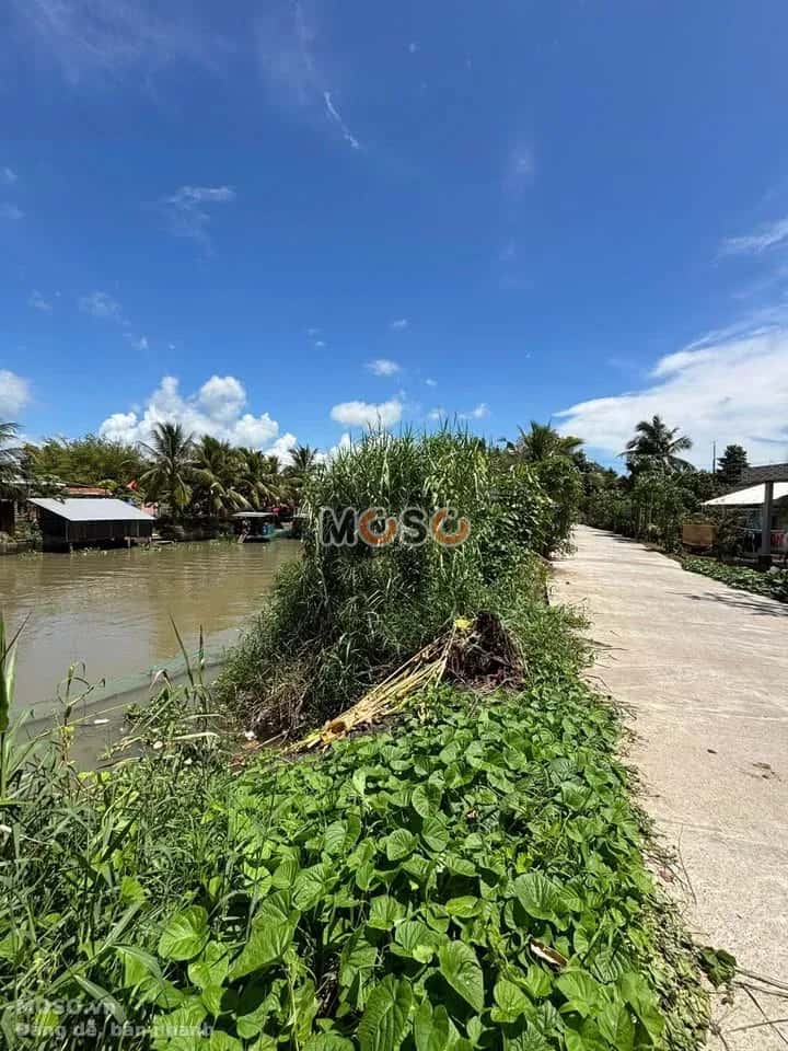 Bán đất ấp Đông Thắng A Huyện Thới Lai, TP. Cần Thơ – giá 650 triệu - ảnh 4