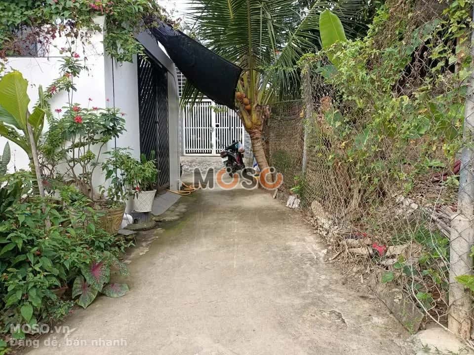 Bán đất Đồng Khởi, TDP Phú Lộc Đông 2 Huyện Diên Khánh, Khánh Hòa – giá 790 triệu - ảnh 3
