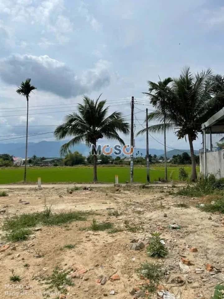 Bán đất thôn Phước Tuy 1, Hương Lộ 39 Huyện Diên Khánh, Khánh Hòa – giá 799 triệu - ảnh 1