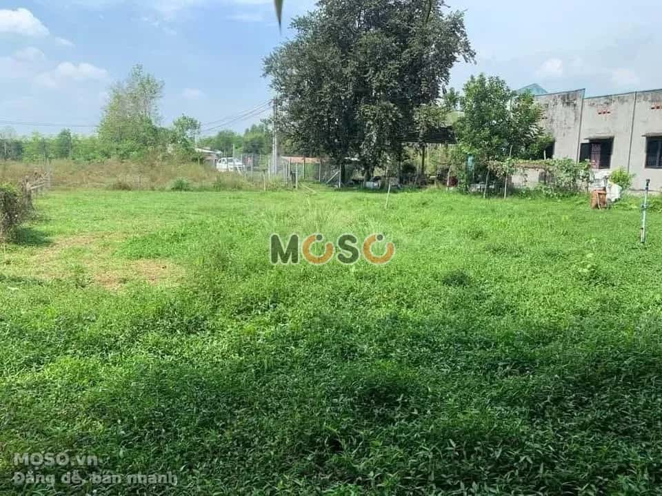 Bán đất Hà Thị Kiểm Huyện Củ Chi, TP.HCM – giá 1.8 tỷ - ảnh 2