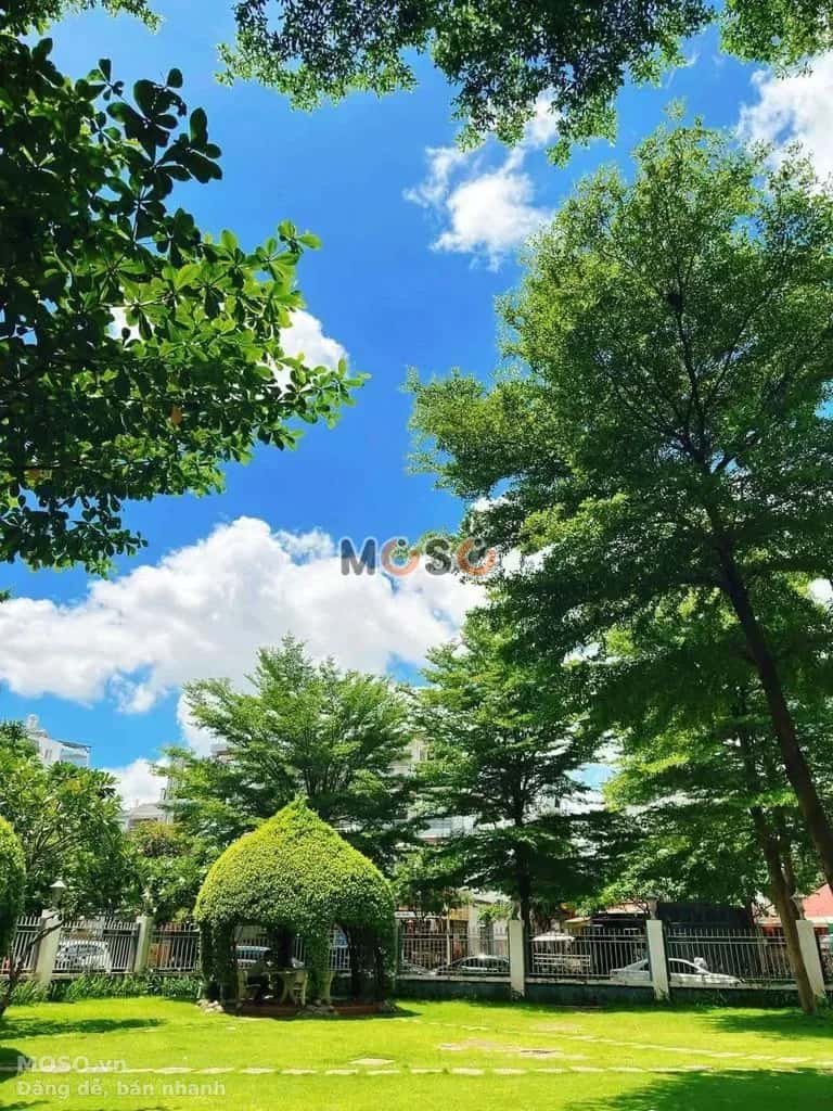 Cho thuê căn hộ chung cư Gò Vấp, TP.HCM – 2 phòng ngủ, giá 8 triệu - ảnh 9