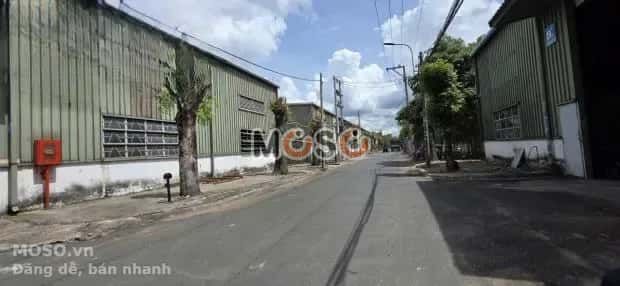 Cho thuê kho, nhà xưởng Trần Đại Nghĩa Huyện Bình Chánh, TP.HCM – giá 86 triệu - ảnh 2