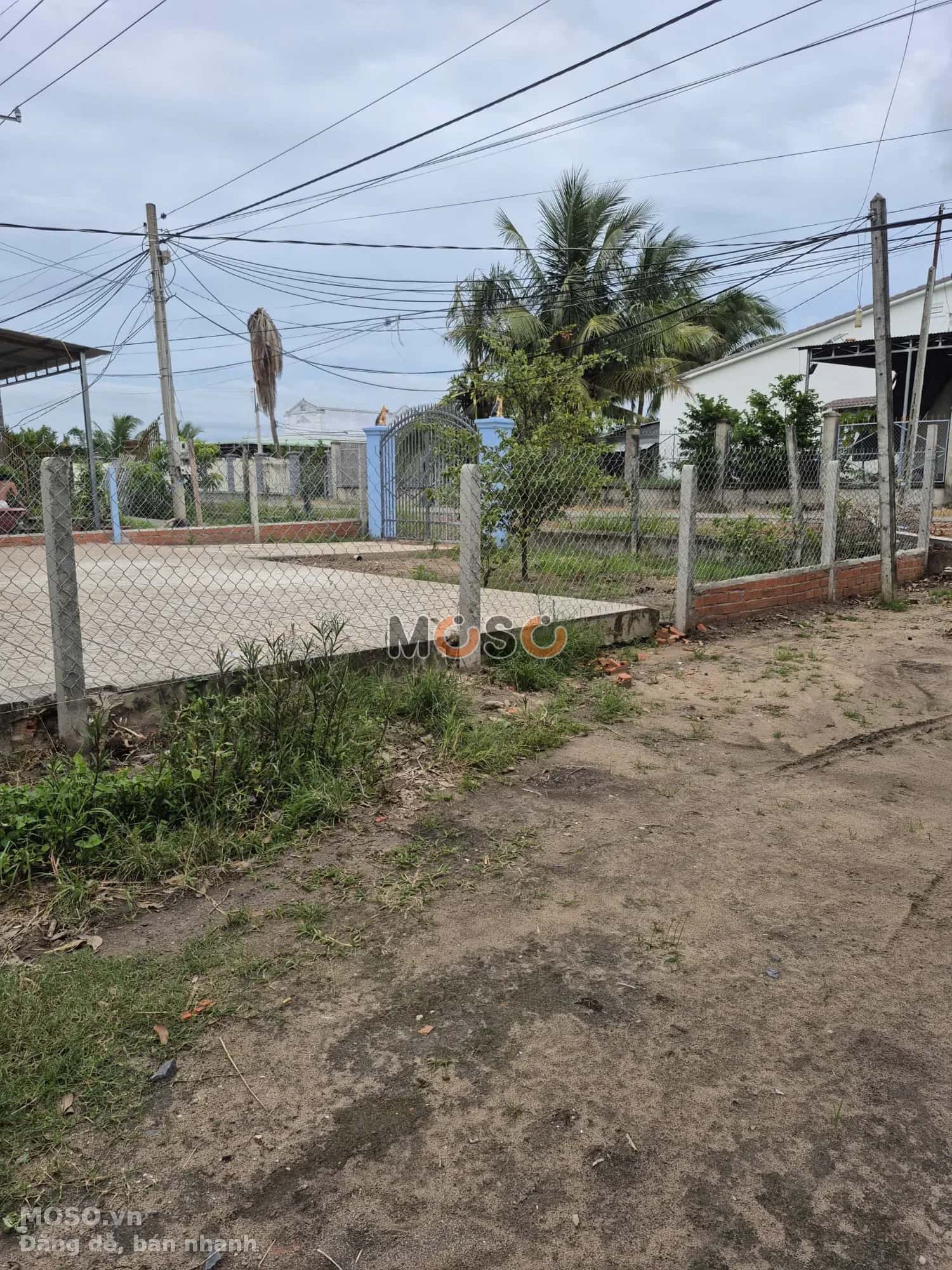 Bán đất hẻm đường DT784 Huyện Tân Châu, Tây Ninh – giá 939 triệu - ảnh 5