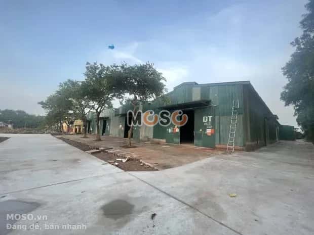 Cho thuê kho, nhà xưởng Lê Trọng Tấn Hà Đông, Hà Nội – giá 30 triệu - ảnh 3