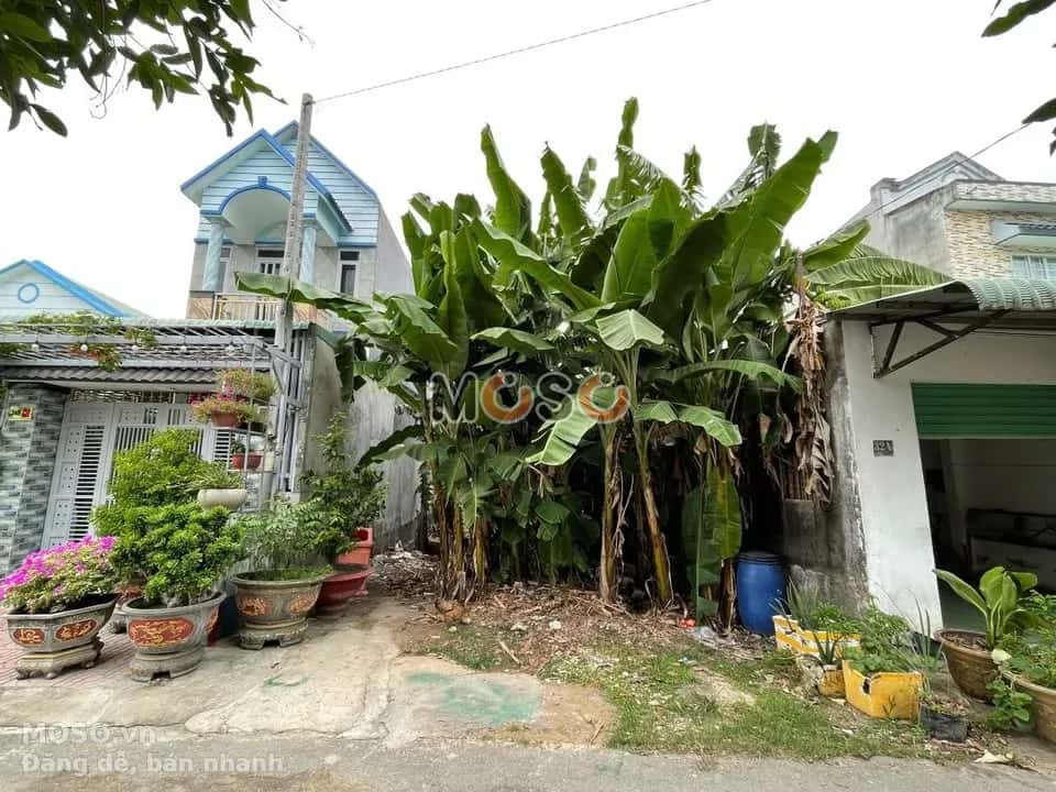 Bán đất Tỉnh Lộ 8 Huyện Củ Chi, TP.HCM – giá 2 tỷ - ảnh 1