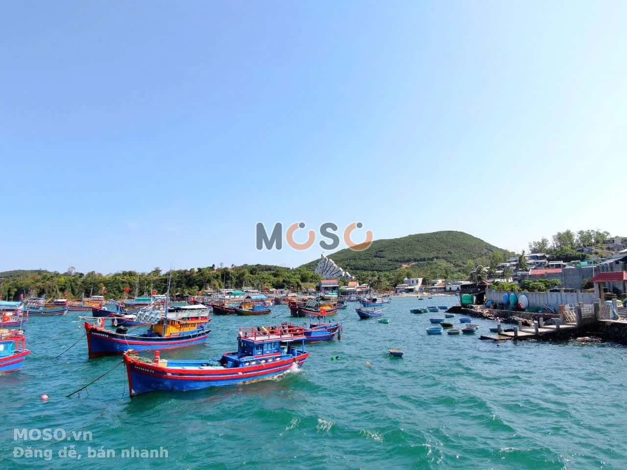 Bán đất Đảo Trí Nguyên Thành phố Nha Trang, Khánh Hòa – giá 65 tỷ - ảnh 5