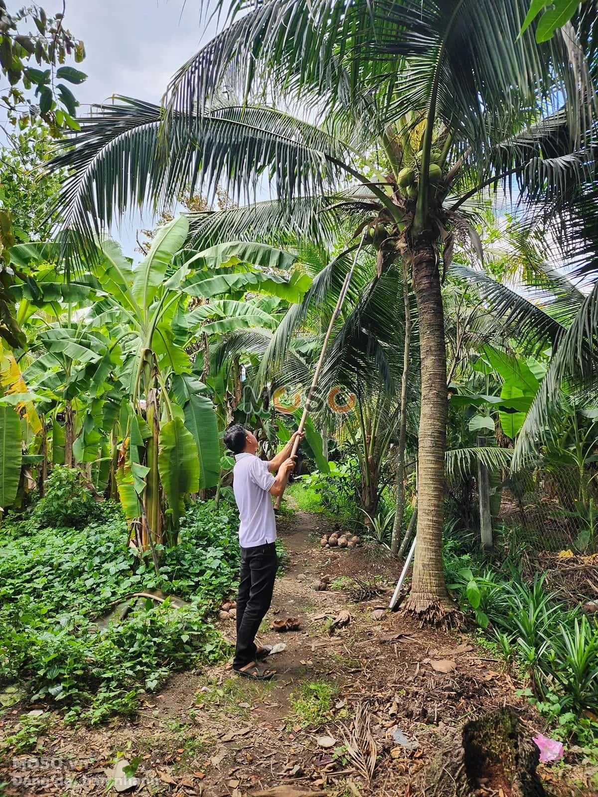 Bán nhà mặt tiền Nguyễn Văn Bứa, ấp 51 Huyện Hóc Môn, TP.HCM – 6 phòng ngủ, giá 29.7 tỷ - ảnh 8