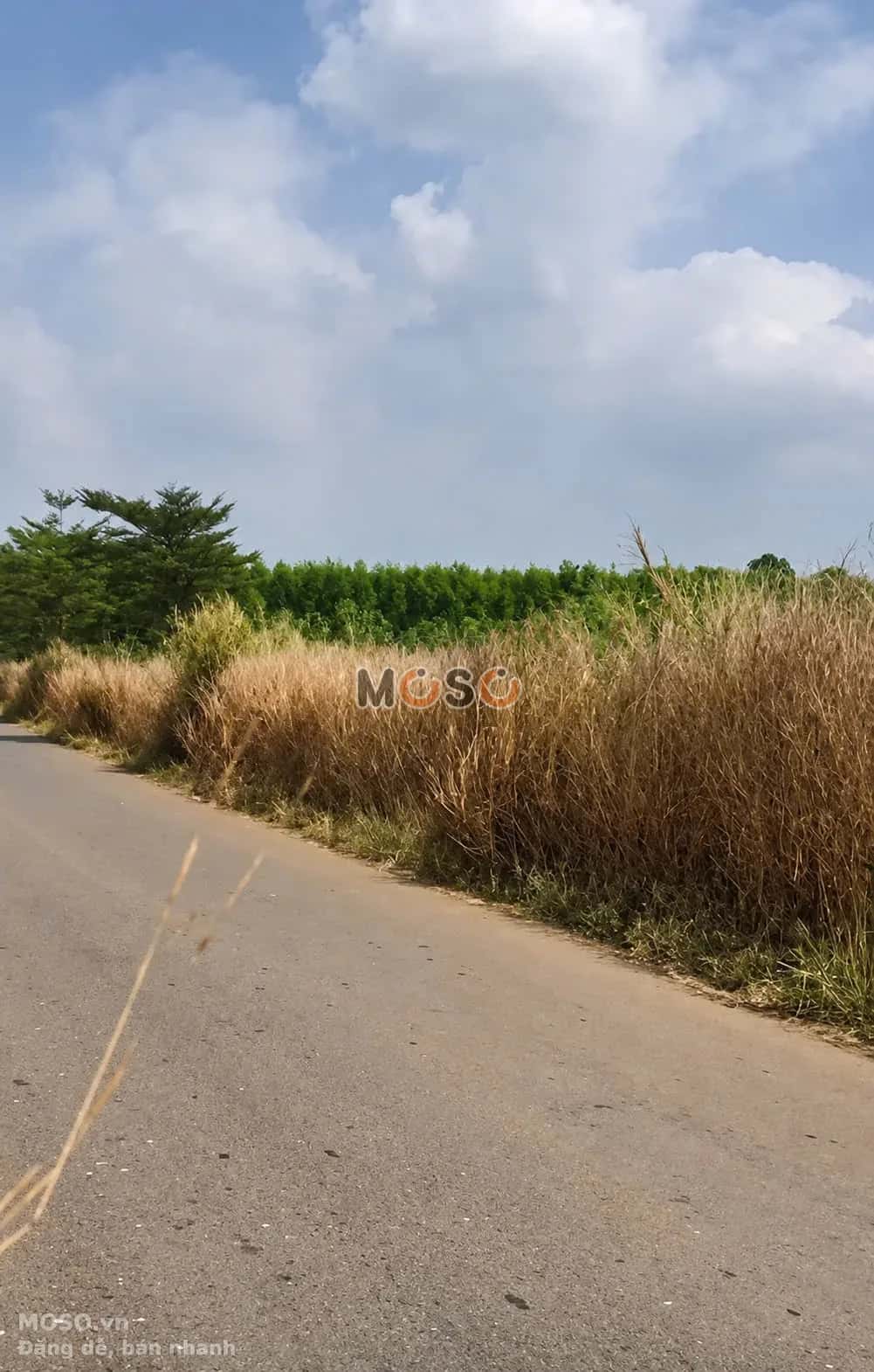 Bán đất Hưng Bình 1 Huyện Trảng Bom, Đồng Nai – giá 2 tỷ - ảnh 1