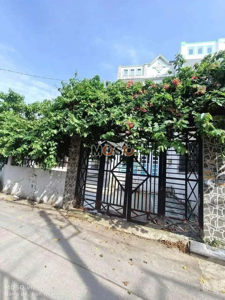 Cho thuê nhà hẻm Chùa Hang Huyện Hóc Môn, TP.HCM – 2 phòng ngủ, giá 6.5 triệu - ảnh 2