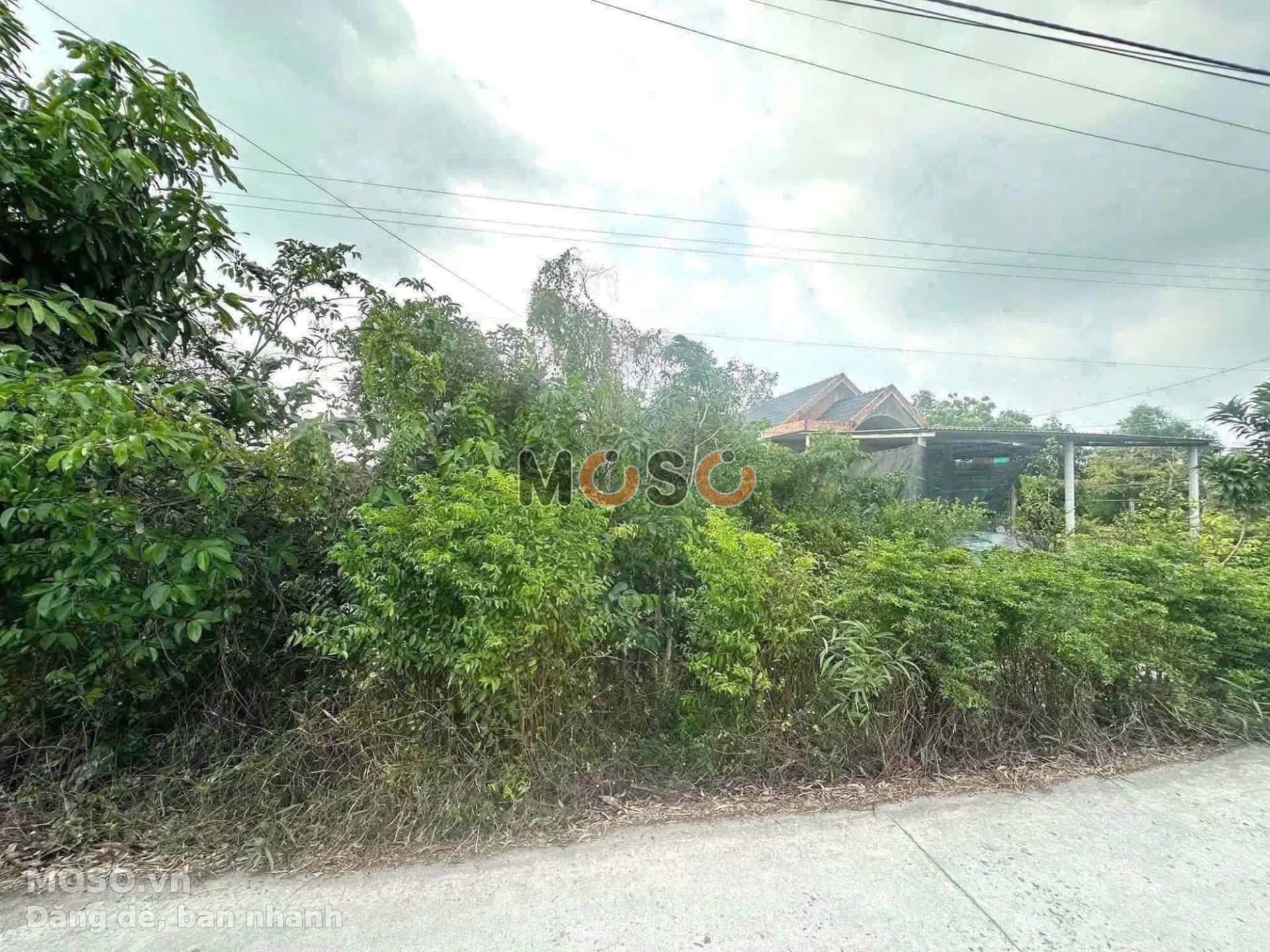 Bán đất Ấp Bà Mía Huyện Thủ Thừa, Long An – giá 600 triệu - ảnh 1