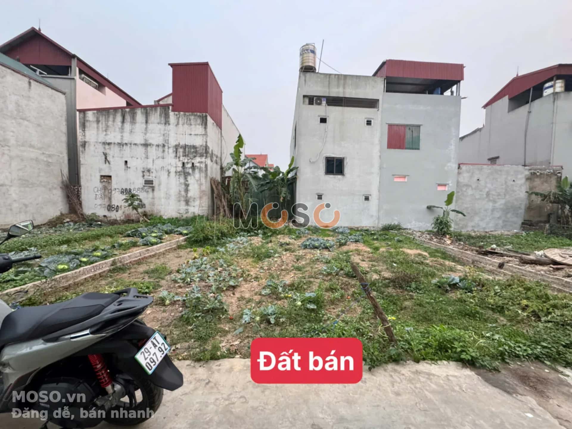 Bán đất thôn Hương Đình Đông Huyện Sóc Sơn, TP. Hà Nội – giá 3 tỷ - ảnh 1