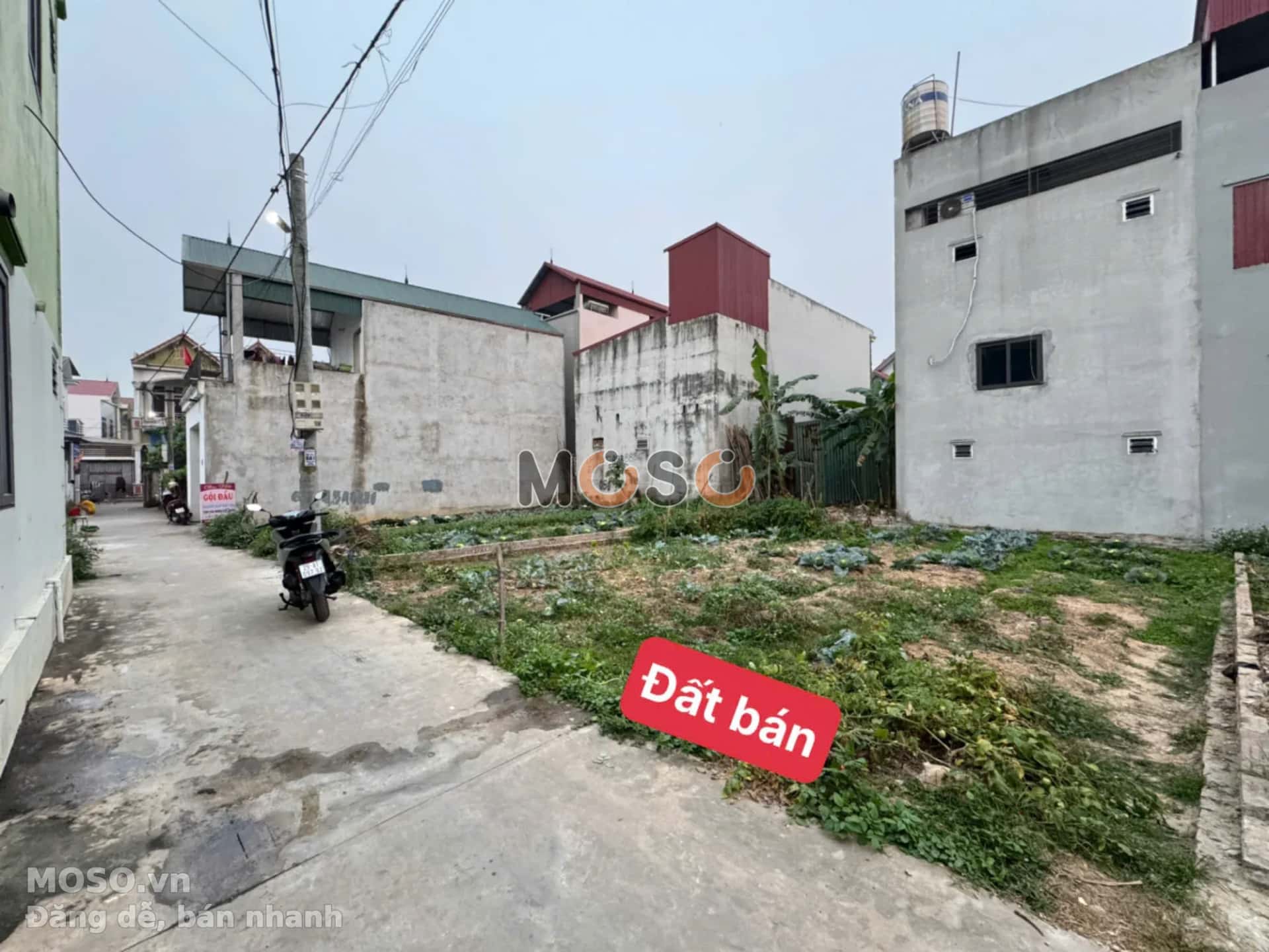 Bán đất thôn Hương Đình Đông Huyện Sóc Sơn, TP. Hà Nội – giá 3 tỷ - ảnh 3