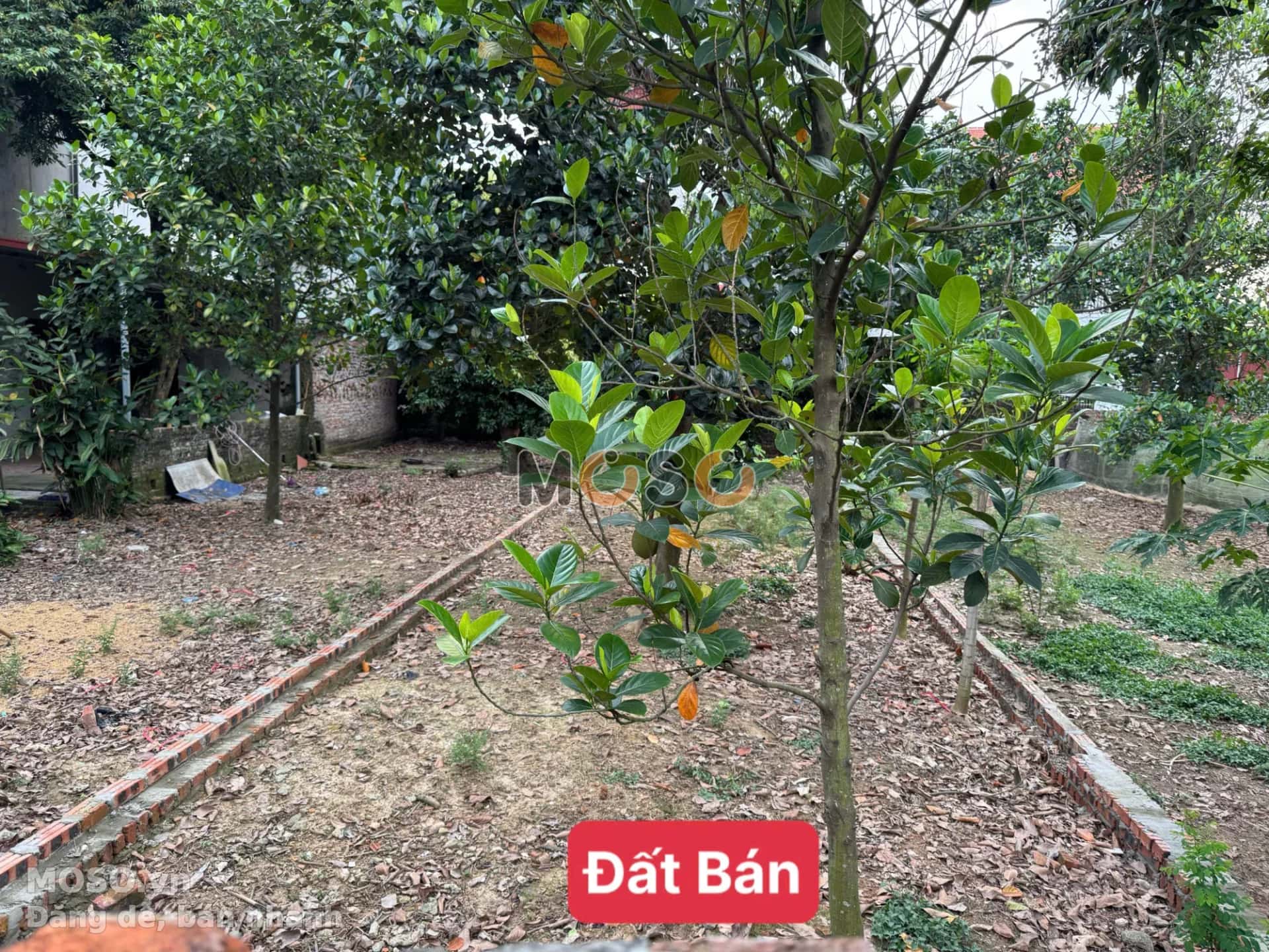 Bán đất thôn Bắc Thượng Huyện Sóc Sơn, TP. Hà Nội – giá 2.8 tỷ - ảnh 1
