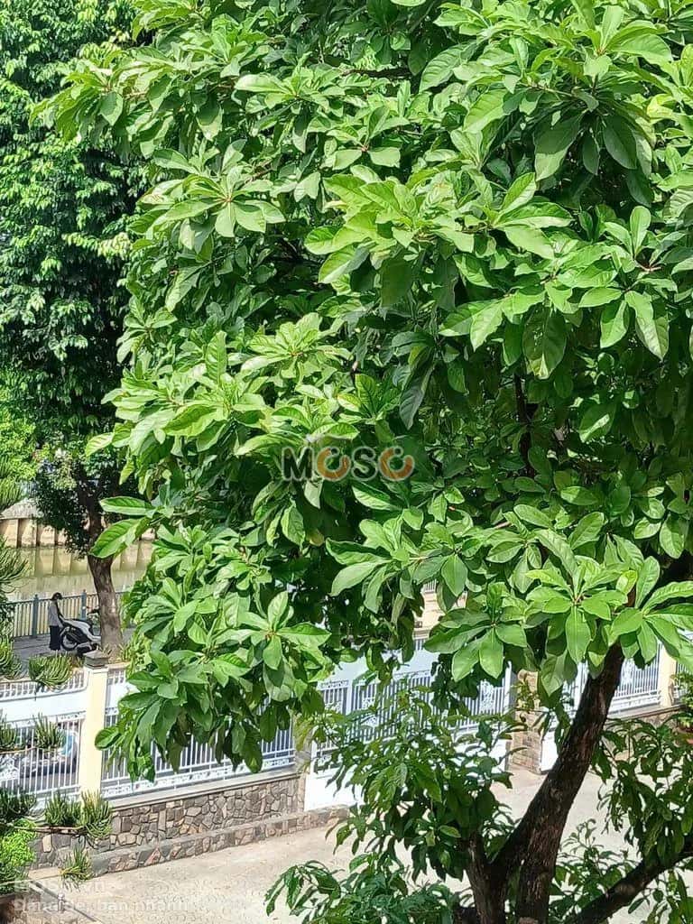Cho thuê nhà hẻm Trường Sa Tân Bình, TP.HCM – 2 phòng ngủ, giá 8.5 triệu - ảnh 4