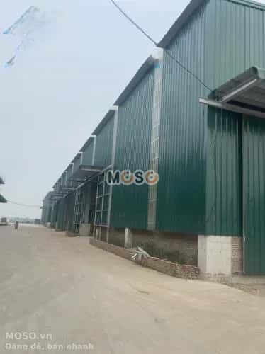 Cho thuê kho, nhà xưởng Phạm Hồng Thái Hồng Bàng, Hải Phòng – giá 100 triệu - ảnh 2