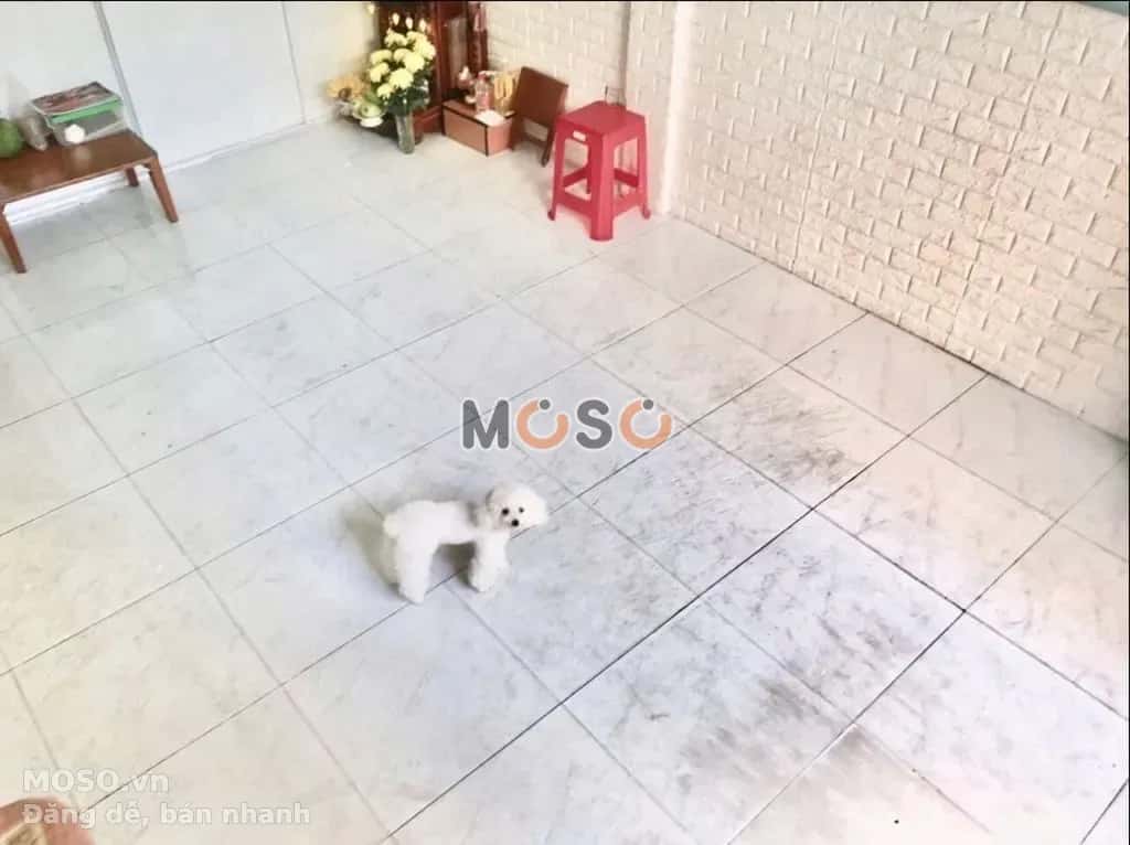 Cho thuê nhà mặt tiền Nguyễn Hữu Cảnh Quận Bình Thạnh, TP.HCM – giá 4 triệu - ảnh 4