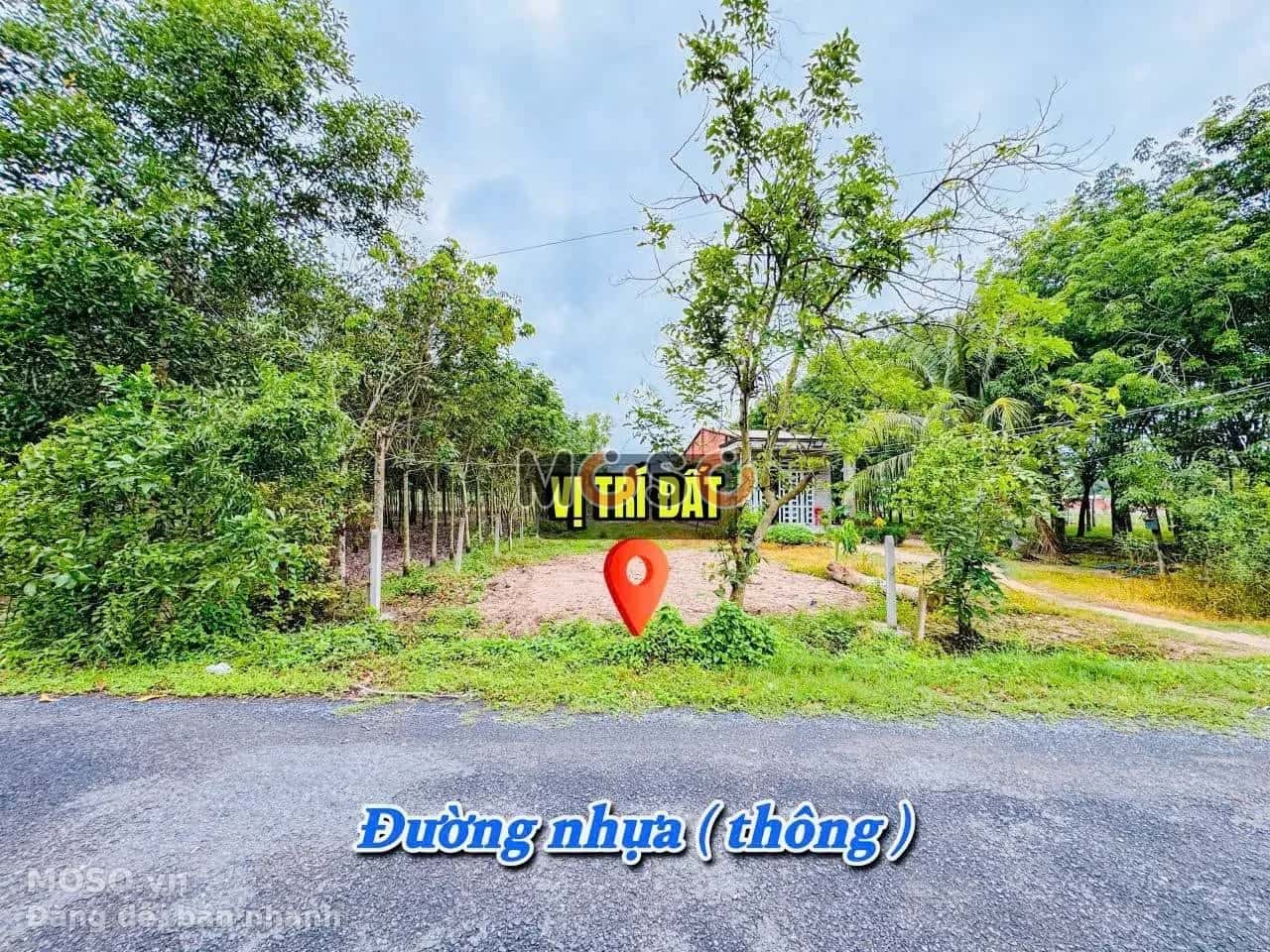 Bán đất hẻm đường Tỉnh Lộ 786 Huyện Bến Cầu, Tây Ninh – giá 520 triệu - ảnh 4