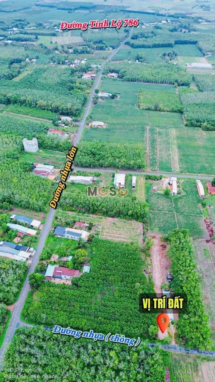 Bán đất hẻm đường Tỉnh Lộ 786 Huyện Bến Cầu, Tây Ninh – giá 520 triệu - ảnh 6