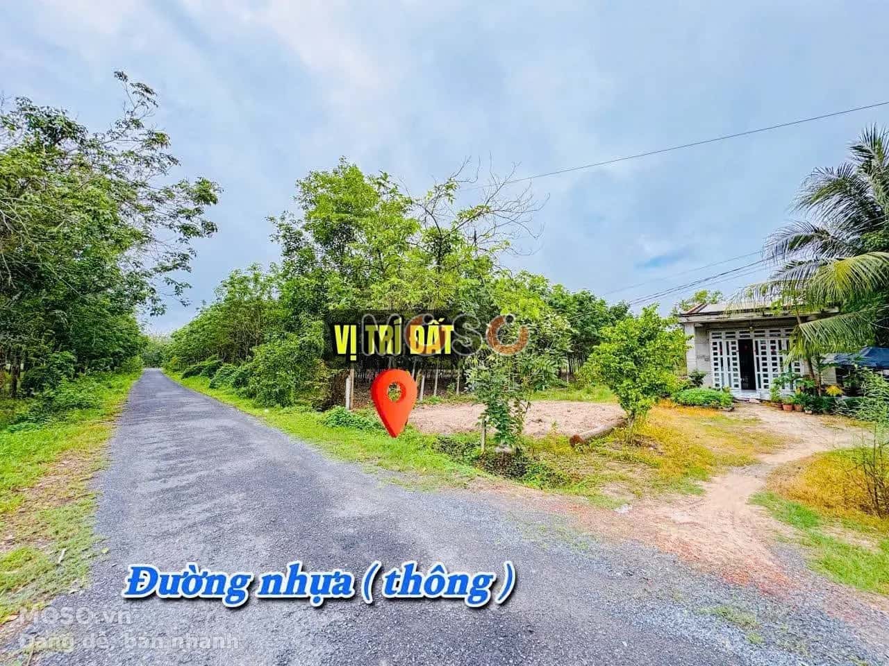 Bán đất hẻm đường Tỉnh Lộ 786 Huyện Bến Cầu, Tây Ninh – giá 520 triệu - ảnh 3
