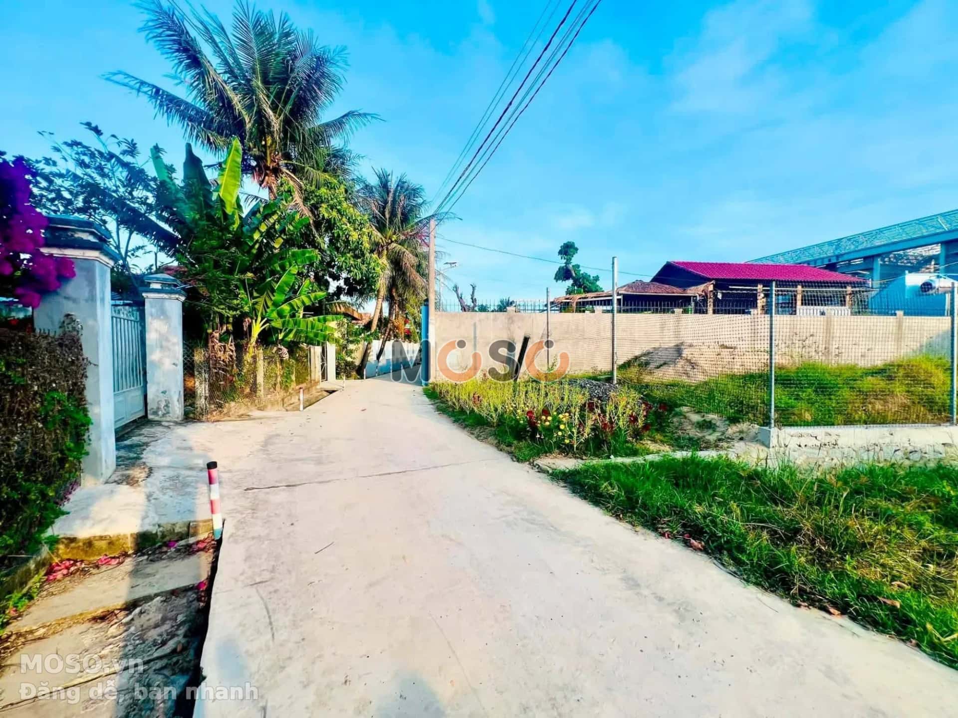 Bán đất thôn Trường Phước,  Thị xã Ninh Hòa, Khánh Hòa – giá 550 triệu - ảnh 2