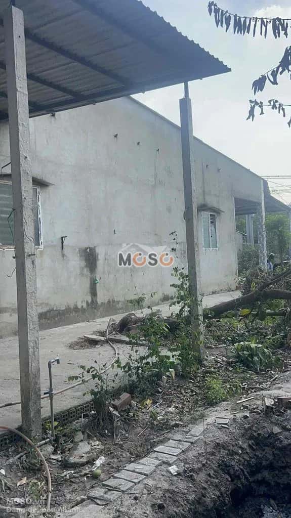 Cho thuê đất Tỉnh lộ 7 Huyện Củ Chi, TP.HCM – giá 3 triệu - ảnh 4